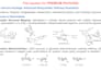 create professional and visually appealing biosynthesis pathway